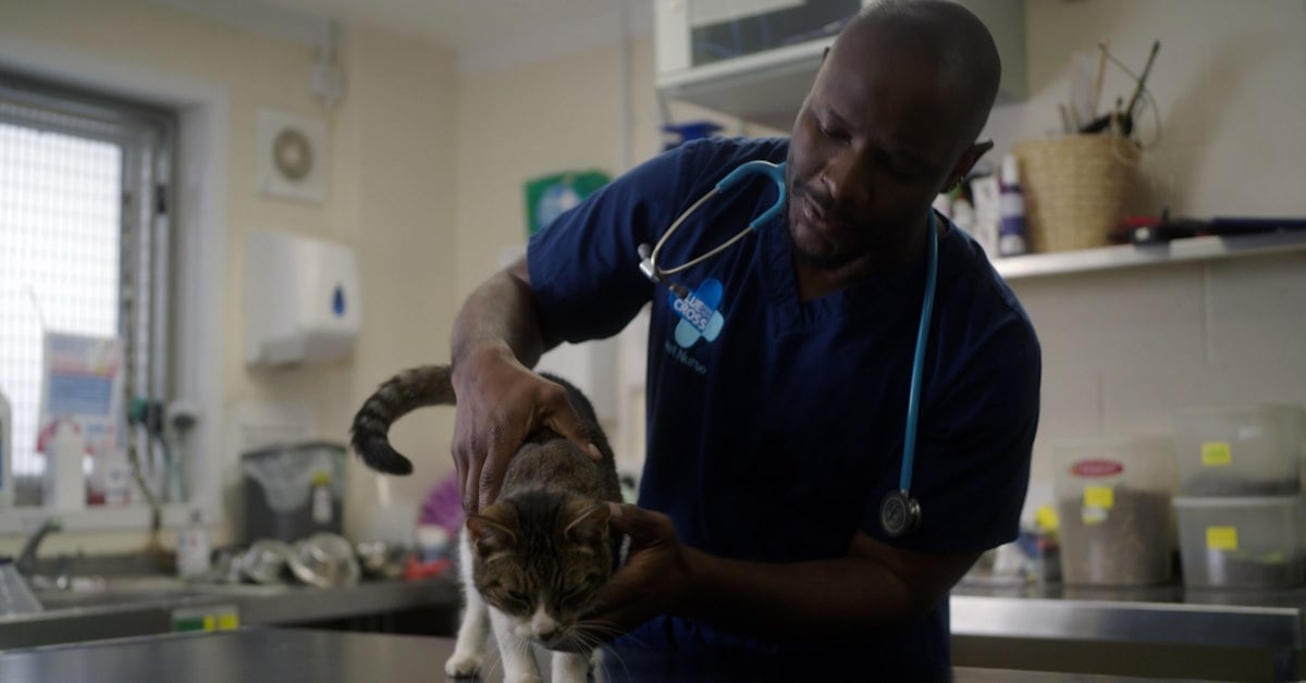 Data transformation and strategy execution for Blue Cross